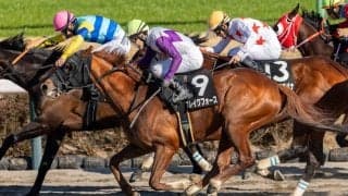 【総武S】ブレイクフォースがゴール寸前差し切り…白毛のアマンテビアンコは7着