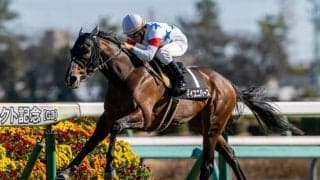 【湾岸S】横山典弘騎手がJRA通算3000勝の大記録達成…マイユニバースで人気に応える