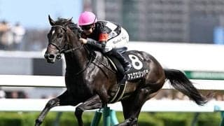 【スプリングS】アスクエジンバラ、クレパスキュラーらが登録