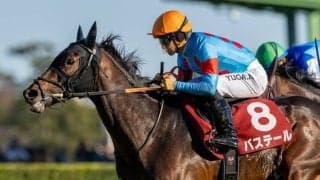 【弥生賞】川田「よく走れました」バステールが重賞初制覇