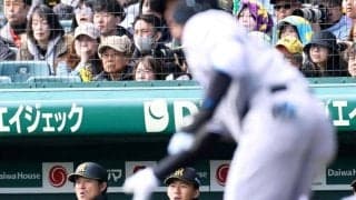 阪神・ドラ１立石　異例ベンチ入り　初甲子園「伝統の一戦」体感　「一日でも早く甲子園でプレーできるように」