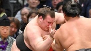 安青錦　最速綱へ好発進！若元春の立ち合い変化にも冷静「このまま行けたら」部屋近くウクライナ料理店が後押し