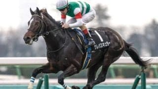 スプリングS、金鯱賞など3重賞/今週の競馬界の見どころ