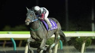 【水沢・スプリングカップ】ディオニスが7馬身差圧勝…「北海道勢との戦い楽しみ」