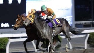 【高知・土佐春花賞】逃げる1番人気を捕らえる！カツテナイオイシサがゴール前で差し切りV