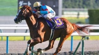 【金鯱賞登録馬】菊花賞馬アーバンシックなど14頭