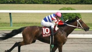 史上2頭目のJRAサラ系平地重賞3連覇 タップダンスシチーが制した05年金鯱賞を振り返る