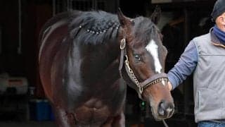 【スプリングＳ・イシゴーの特注馬】デビュー２連勝中クレパスキュラーは折り合い面クリアできれば即突破の器