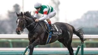 【スプリングS見どころ】初戦の大楽勝ぶりが記憶に蘇るクレパスキュラー