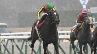 【金鯱賞見どころ】クイーンズウォークの連覇なるか