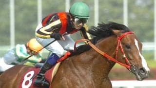 金鯱賞勝ち時計ランキング 1位タイは「5連勝で初タイトル」と「“薔薇一族”の重賞連勝」