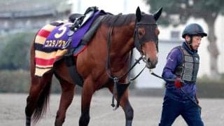【注目馬動向】コスタノヴァはドバイ遠征を辞退してかしわ記念へ　先週半ばから歩様にスムーズさを欠く場面