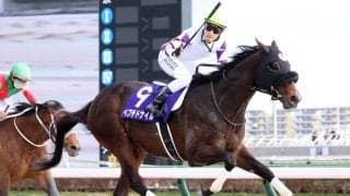 ２４年のフェブラリーＳ優勝　ペプチドナイルが競走馬登録を抹消　今後はアロースタッドで種牡馬入り