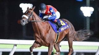 【船橋・ネクストスター東日本枠順】前走重賞Vのベイビークエストは1枠1番