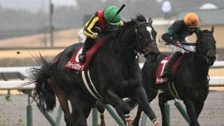 【金鯱賞想定騎手】クイーンズウォークは川田将雅騎手、ドゥラドーレスは戸崎圭太騎手
