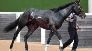 【スプリングＳ】「やれると思います」デビュー２連勝の怪物候補クレパスキュラー　重賞初挑戦も栗田調教師は自信