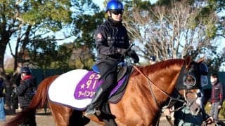 【金鯱賞】巻き返し必至！？アーバンシックの前走・香港ヴァーズは想定外が多く…武井調教師「度外視したい」