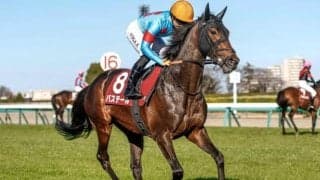 弥生賞Vのバステールは父キタサン×母方にヌレイエフ 血統背景はイクイノックスと同パターン