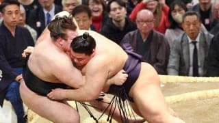 義ノ富士、安青錦キラーだゾウ！　タイ旅行で象に乗って度胸つけた　綱取りに挑む大関に通算４勝１敗の好相性