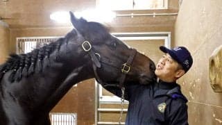 【スプリングＳ】新馬戦衝撃レコードＶの怪物候補クレパスキュラーが皐月賞切符つかみ主役へ