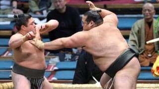 左膝の手術から復帰２場所目、元十両の生田目が連勝発進　先場所していた膝の装具はテーピングのみになり「動きやすい」