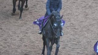 クロワデュノールなど、先週の入厩情報/栗東トレセンニュース