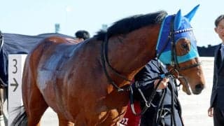【注目馬動向】報知杯弥生賞３着のアドマイヤクワッズは皐月賞へ　友道調教師はＶなら現役単独最多の３勝目