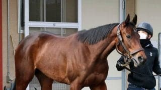 【注目馬動向】報知杯ＦＲ８着のショウナンカリスは桜花賞へ　阪急杯２着のララマセラシオンは高松宮記念を予定