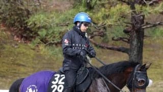 【スプリングＳ】整いました！シンザン記念２着のサウンドムーブ　皐月切符ゲットへ斉藤崇調教師「器用だし、坂も問題ない」