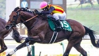 【金鯱賞】重賞で4戦連続2着のドゥラドーレス 今度こそ初タイトル獲得なるか