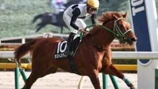 【スプリングS】本間忍調教師が10年ぶりの重賞制覇へ ラストスマイルで参戦