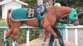 【スプリングＳ】ラストスマイルに杉原誠人騎手は藤沢和厩舎のあの馬をイメージ　「遊ぶ感じと背中の柔らかさと…」