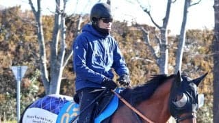 【金鯱賞】「何としても勝ってＧ１に行きたい」宮田調教師も気合　シルバーコレクター返上しドゥラドーレス大舞台へ　