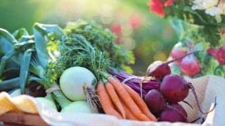 野菜不足は生活習慣病の要因？