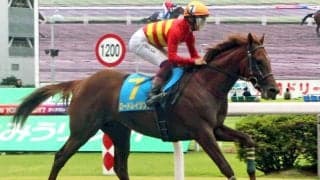 【スプリングＳ】地方馬のロードレイジングが最終追い切り　加藤誠調教師「調子自体は平行線で悪くない」