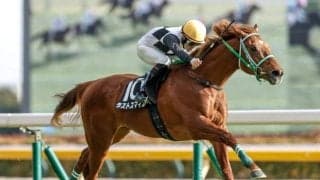 【スプリングS展望】好走条件を全て満たすラストスマイルが重賞制覇へ