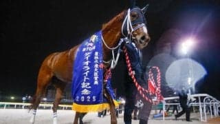 【船橋・ダイオライト記念注目馬】ダートグレード競走最長のダ2400m 砂のスタミナ比べを制すのは