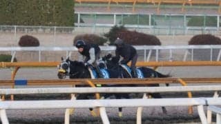 マイネルエンペラー、阪神大賞典1週前追い切り速報/栗東トレセンニュース