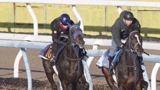 【スプリングＳ】併せ馬で遅れても鞍上が好感触のアウダーシア　津村明秀騎手「背中が良くて」