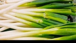 ネギの青い部分と白い部分、栄養の違いとは？
