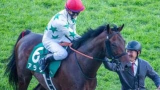 【金鯱賞】レース史上最高齢Vなるか 9歳のアラタが重賞2勝目狙う