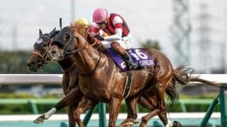 【高松宮記念想定】ウインカーネリアン、ソンシなど17頭