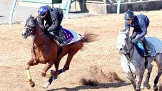 【金鯱賞】Ｇ１馬アーバンシックが併入に持ち込むも陣営は物足りない様子　武井調教師「悪くはないですが…」