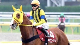 【注目馬動向】ボルドグフーシュは７歳初戦に大阪杯を検討　栗東の坂路で順調に調整