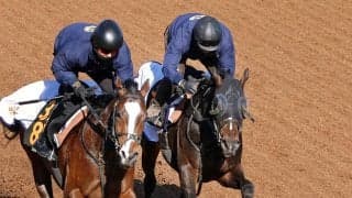 【スプリングＳ】進化見せるクレパスキュラーが無傷で重賞タイトルへ　栗田調教師「大きな舞台でも通用する」