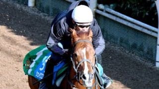 【金鯱賞】京都記念４着のシェイクユアハートが坂路で好時計　宮調教師「能力を出せるコースですからね」