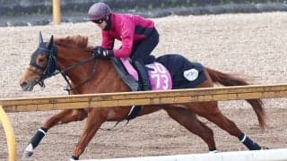 【アネモネＳ】ポテンシャルの高いエピッククイーンが桜花賞を目指す　陣営「いろいろと乗り越えてくれた馬なので」 　