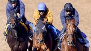 【金鯱賞】重賞４連続２着のドゥラドーレスは意欲の３頭併せ　宮田調教師「もう少し前、前の気持ちがほしい」