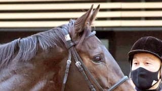 【アネモネＳ】新馬勝ちから臨む良血ルールザウェイヴは仕上がり上々も…　宮田調教師「まだ成長途上」