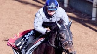 【スプリングＳ】アスクエジンバラは仕上がり十分　福永調教師「体の使い方が良くなっている」